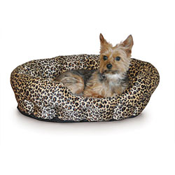 Lets Talk About Your Dog's Comfy Bed..